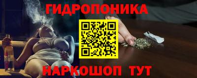 сатива Пенза
