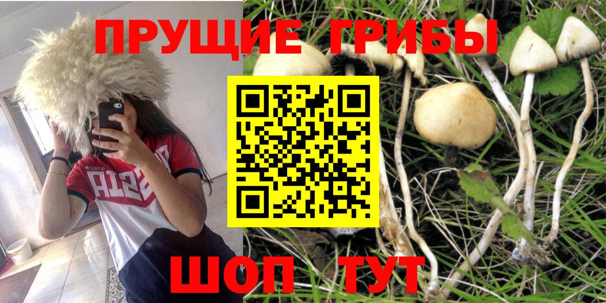 Советская Гавань  Галлюциногенные грибы мухоморы  Вход с VPN 