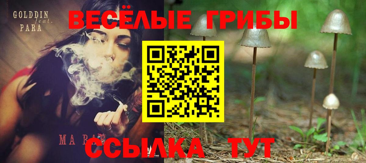 Галлюциногенные грибы GOLDEN TEACHER Советская Гавань